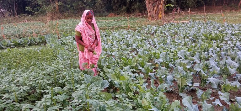 ६६ वटा पोषण बगैचा निर्माण गरी पोषणको अवस्था सुधार गरीदै